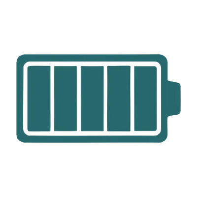 Option batterie neuve. Capacité de charge 100%