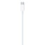Câble USB-C vers Lightning original (1 m)